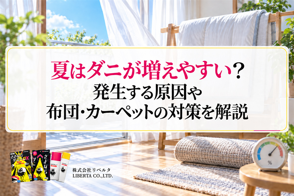夏はダニが増えやすい？発生する原因や布団・カーペットの対策を解説